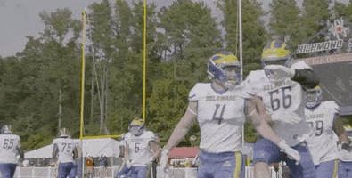 knock down college football GIF by Delaware Blue Hens