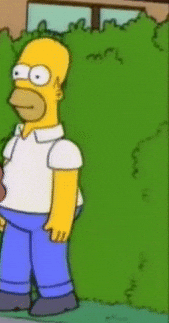 homer bush
