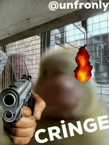 Stop Holding GIF