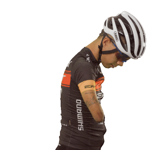 10 Anos Sticker by Audax Bike