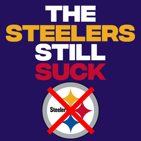 Pittsburgh Steelers GIF