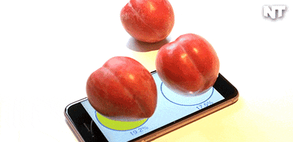 news technology GIF by NowThis 