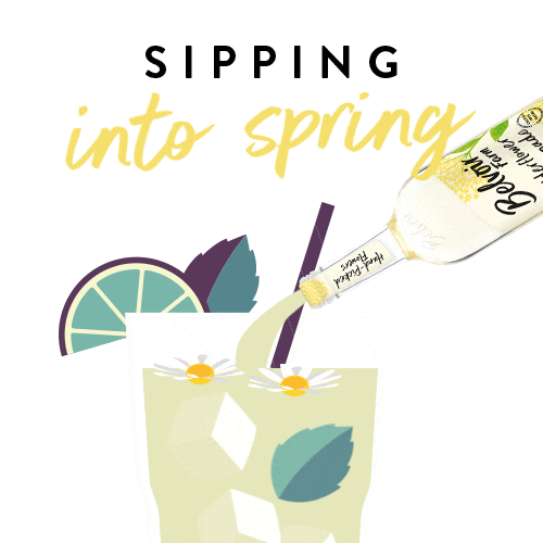 Elderflower Sticker by Belvoir Lemonades & Cordials