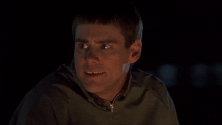 Dumb Dumber Rocky Mountains John Denver GIFs - Get the best GIF on GIPHY