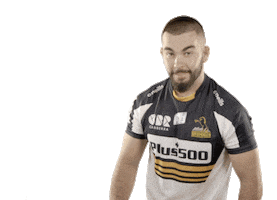 Super Rugby Sticker by BrumbiesRugby