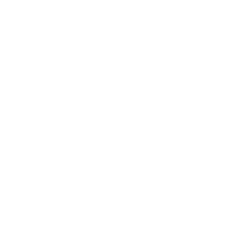 Remax Express Sticker