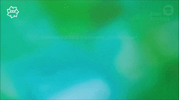 GIF by Kino Pavasaris