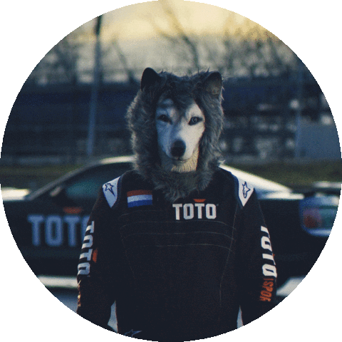 Formula 1 Sport Sticker by Toto