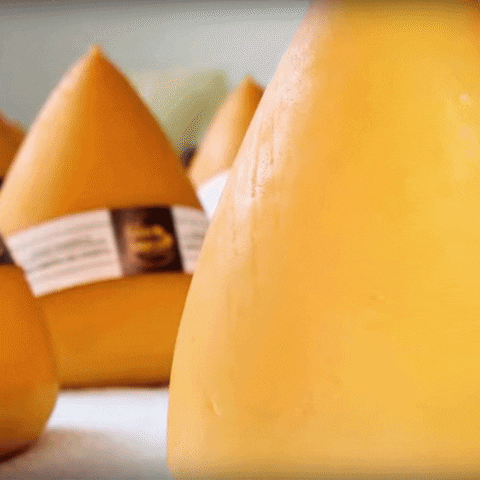 San Simón da Costa GIF