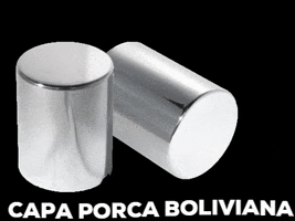 Nicolini Acessórios GIF