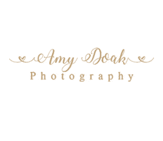 Amy Doak Photography - Buffalo Portrait Photographer Sticker