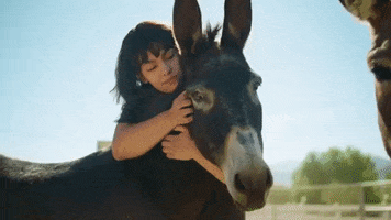 Farm Sanctuary Love GIF by Mercy For Animals