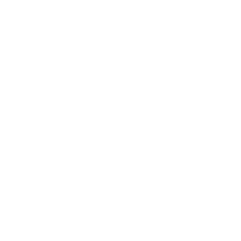 Neff Russia Sticker