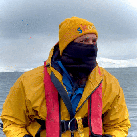 Look Looking GIF by Goose