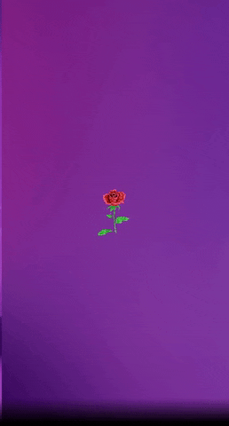 Cert GIF