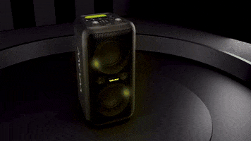 Musica Speaker GIF by WAP