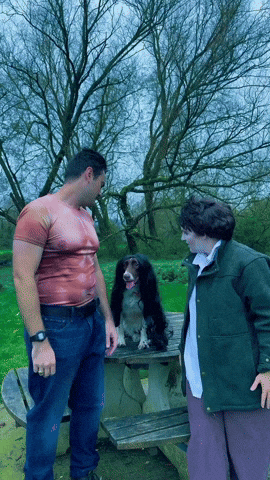 Twilight GIF
