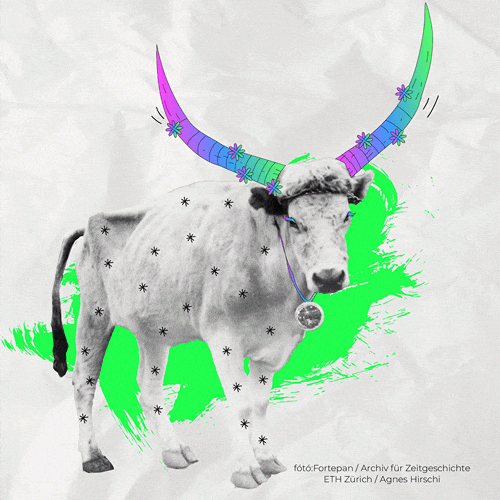 Boci We Are Home GIF by Budapest Pride