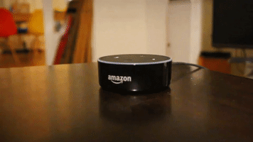 Amazon Alexa GIF