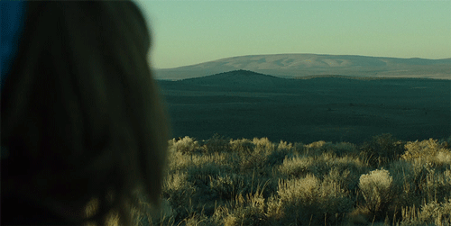Reese Witherspoon Look GIF by Fox Searchlight - Find & Share on GIPHY