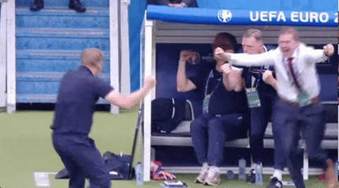 happy euro 2016 GIF by Sporza - happy euro 2016 GIF by Sporza