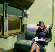 fidaner train window GIF