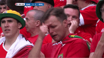 Euro 2016 Crying GIF by Sporza