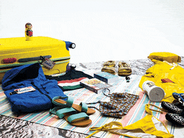 #Travel #Bagtag GIF by Contiki