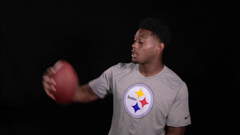 Pittsburgh Steelers Selfie GIF by NFL - Find & Share on GIPHY