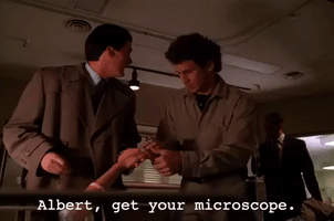 Season 2 Episode 3 GIF by Twin Peaks on Showtime