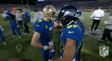 2017 pro bowl GIF by NFL
