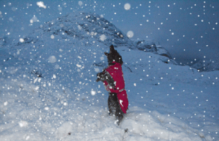 Badge snow scottish highlands dog in snow pops mckendry GIF