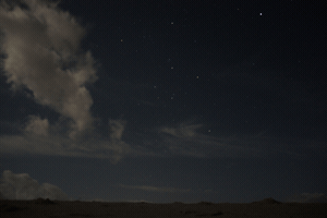 tornikesanadze  GIF