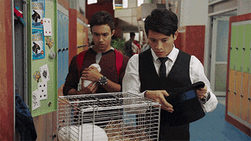 high school pets GIF by Power Rangers
