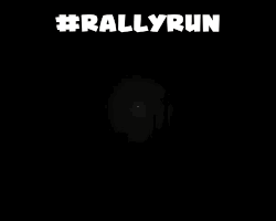 Racing Rally GIF by Games Faction Ltd