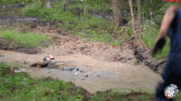 200.gif?cid=fc005b0843cc3308839a68db5e34157029e4e9dc60e4fa26&rid=200.gif&ct=g