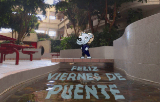 santul puentec GIF