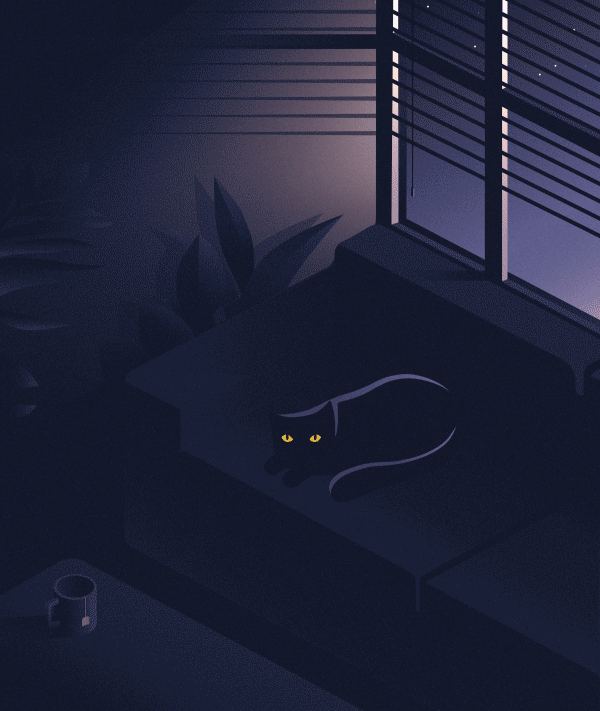 valentineblanco #sleepingcat #brussels #home #vector GIF