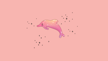 nie nie GIF