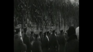 variantylvivua  GIF