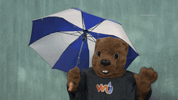 Cat Dog GIF by Weather Underground