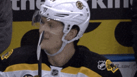 Boston-bruins GIFs - Get the best GIF on GIPHY