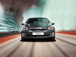 daliael-nabrawy  GIF