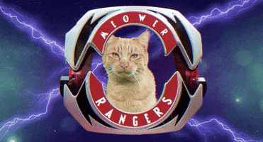 mighty morphin power rangers cat GIF by Power Rangers
