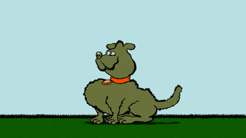 benjaminmitchley happy animation dog walk GIF