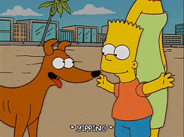 200.gif?cid=fc005b08d8c5267c0e34717a61013fee5860679add4eba67&rid=200.gif&ct=g