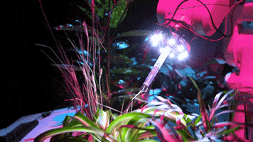 nuiselkie art music nature video GIF