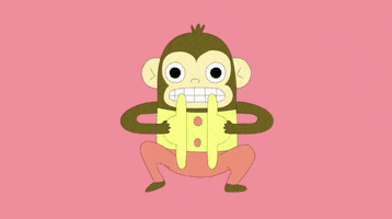 Monkey Cymbals GIF by Burger Records