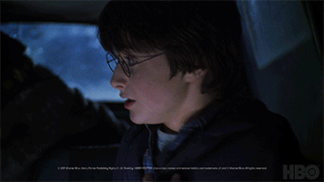 harry potter GIF by HBO