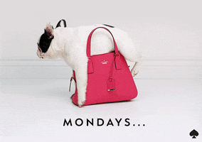Tired French Bulldog GIF by kate spade new york